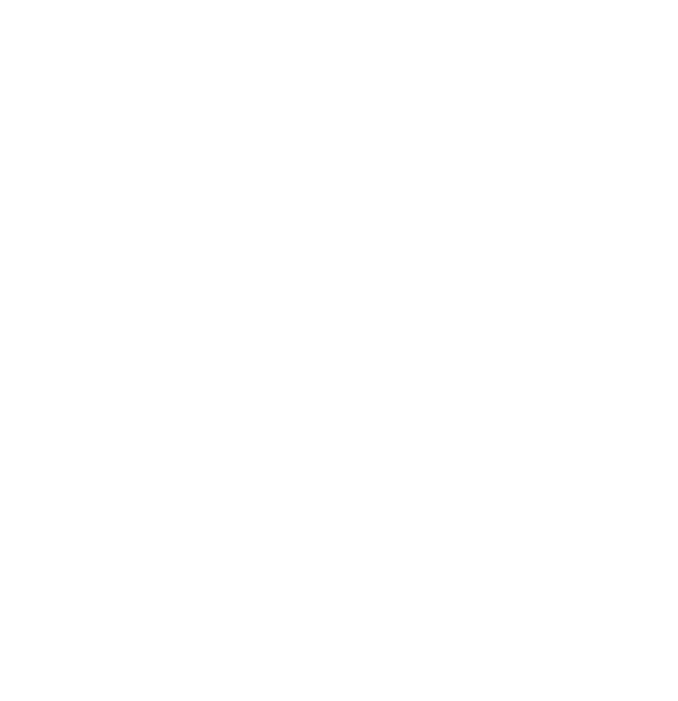 Netzwerk Querdenker- Institut für kreative Köpfe - Wissenschaftlicher Verein zur Förderung der Volksbildung und Völkerverständigung.