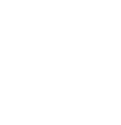 Netz Netz